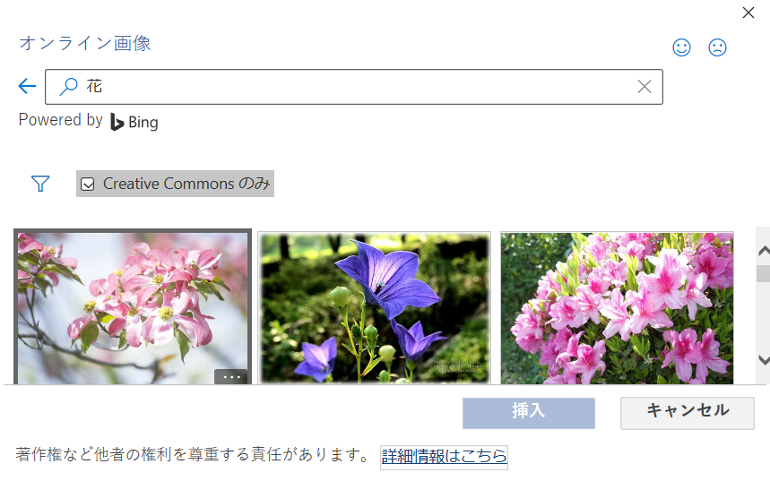 “オンライン画像の挿入”